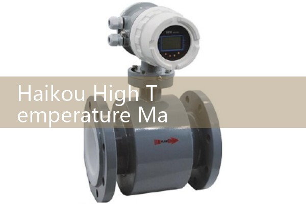 Haikou High Temperature Mass Flow Meter